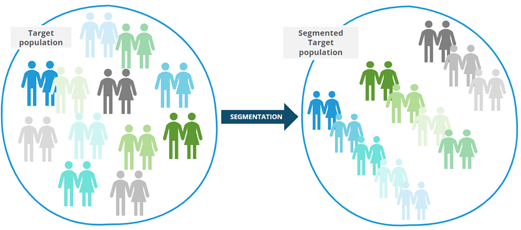 Graphic showing target population sorted into segments