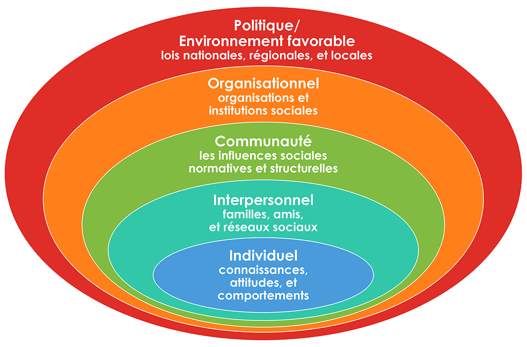 Modèle socio-écologique : Individuel, interpersonnel, communautaire, organisationnel, politique/environnement favorable